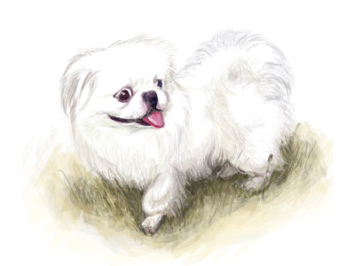 Happy the year of dog drawing