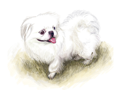Happy the year of dog drawing