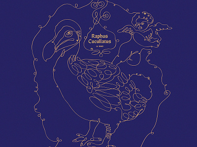 Raphus Cucullatus with one-line illustration original