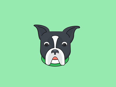 Boston Terrier boston terrier daily illustration dog illustration illustrator