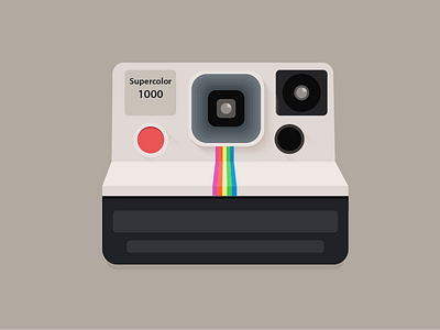 Polaroid animation daily illustration illustration illustrator photography polaroid