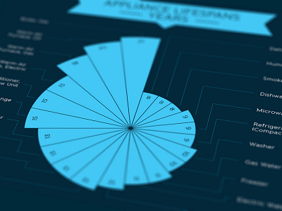 Home Appliance Lifespan appliances bills breakdown chart colours costs design diagram drawing flow graph home icons illustration infographic kitchen maintenance money new purchase replacement results retail ribbons service statistics utilities