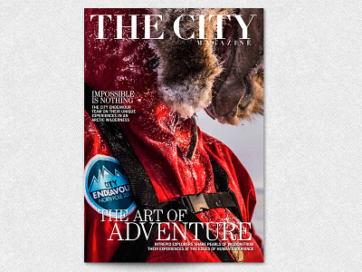 City Endeavour adventure brand charity city endeavour exploration fundraising ice icon design mountains north pole snow