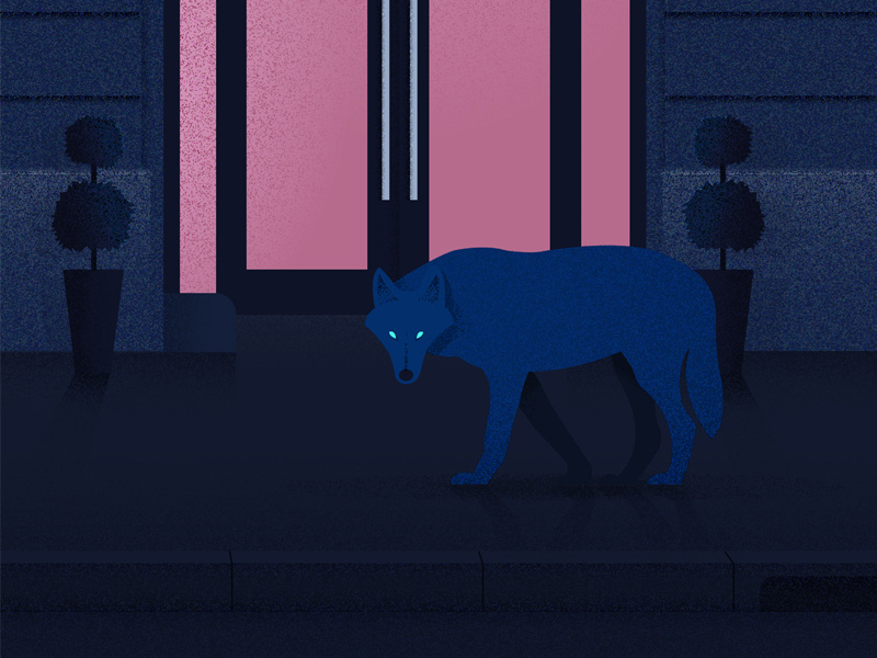 Dribbble4