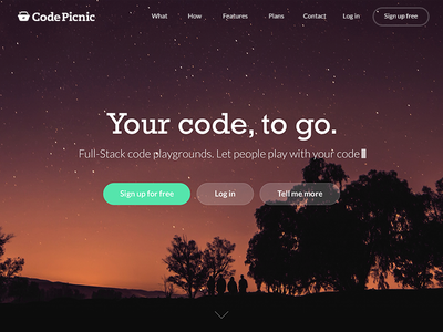 CodePicnic design flat landing page layout minimal minimalistic one page ui website