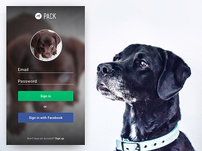 Daily UI Challenge 001 daily challenge dog iphone login mobile puppy signin ui ux