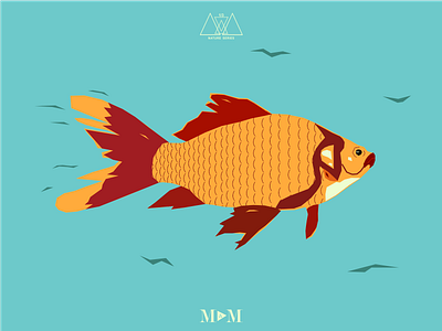 Fish - Nature Series Print 1/3 art fish ocean orange print redfish river simple tail texture vector water