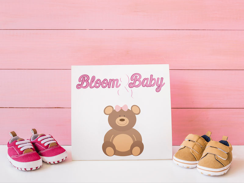 Baby Apparel Brand logo bloombabylogo babyapparelbrandlogo brand logodesign logo identity babyapparelbrand bloombaby dailylogochallenge dailylogo