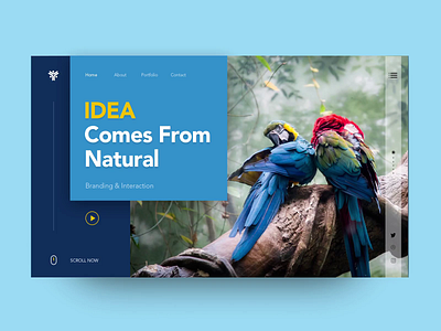 Idea Comes From Natural after effects animation birds creative design landing page design master creationz modern natural ui unique design website