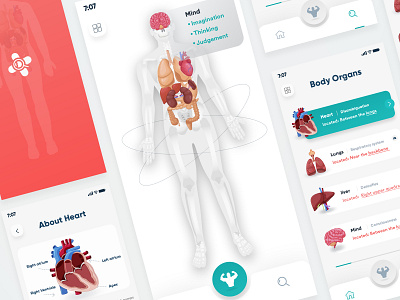 Body Organs App app app design body organs colorful creative design dribbble health app information app interface landing page master creationz modern organapp ui website