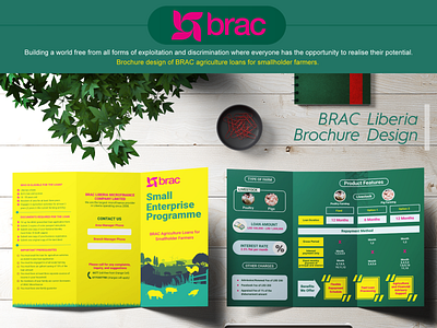 BRAC Agricultural Brochure Design art direction branding creative ideas design graphic design print