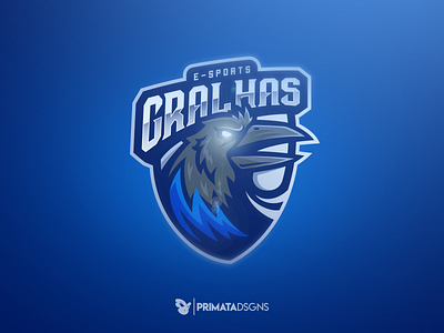 Gralhas e-sports bird bird logo brand design dribbble e sports esports gamer gaming gralha gralha azul illustration logo shield sportlogo vector