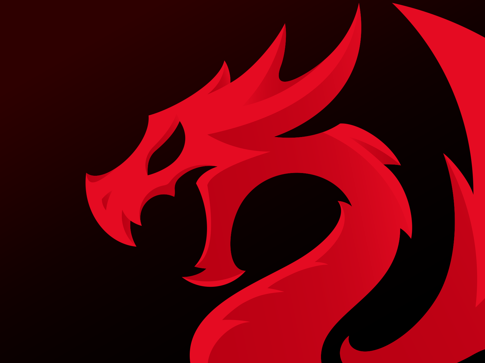 Redragon by Primata Designs on Dribbble