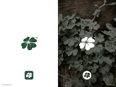 Clover clover flower green icon leaf plant
