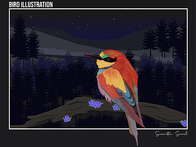 Bird Illustration adobe illustrator illustration vector