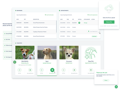 Schedule vet appointment ui ux web webapp