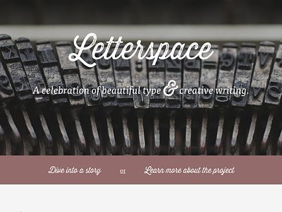 Letterspace v2 logo type typography web web design website writing