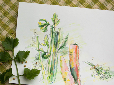 Veggies art brush deleter drawing food markers pen sketch vegetables water color brush