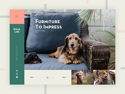 Blog Homepage Concept blog design dog home photography prompt sketch ui ux website