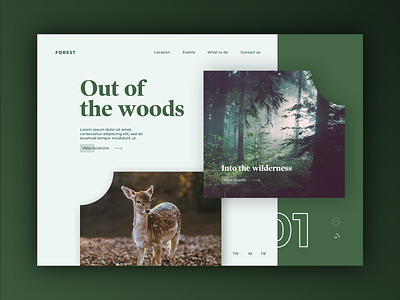 Forest Holiday concept animals concept daily design discover discovery landing photo prompt ui user experience ux