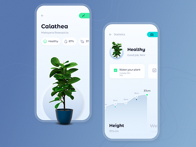 Condition of plants mobile app