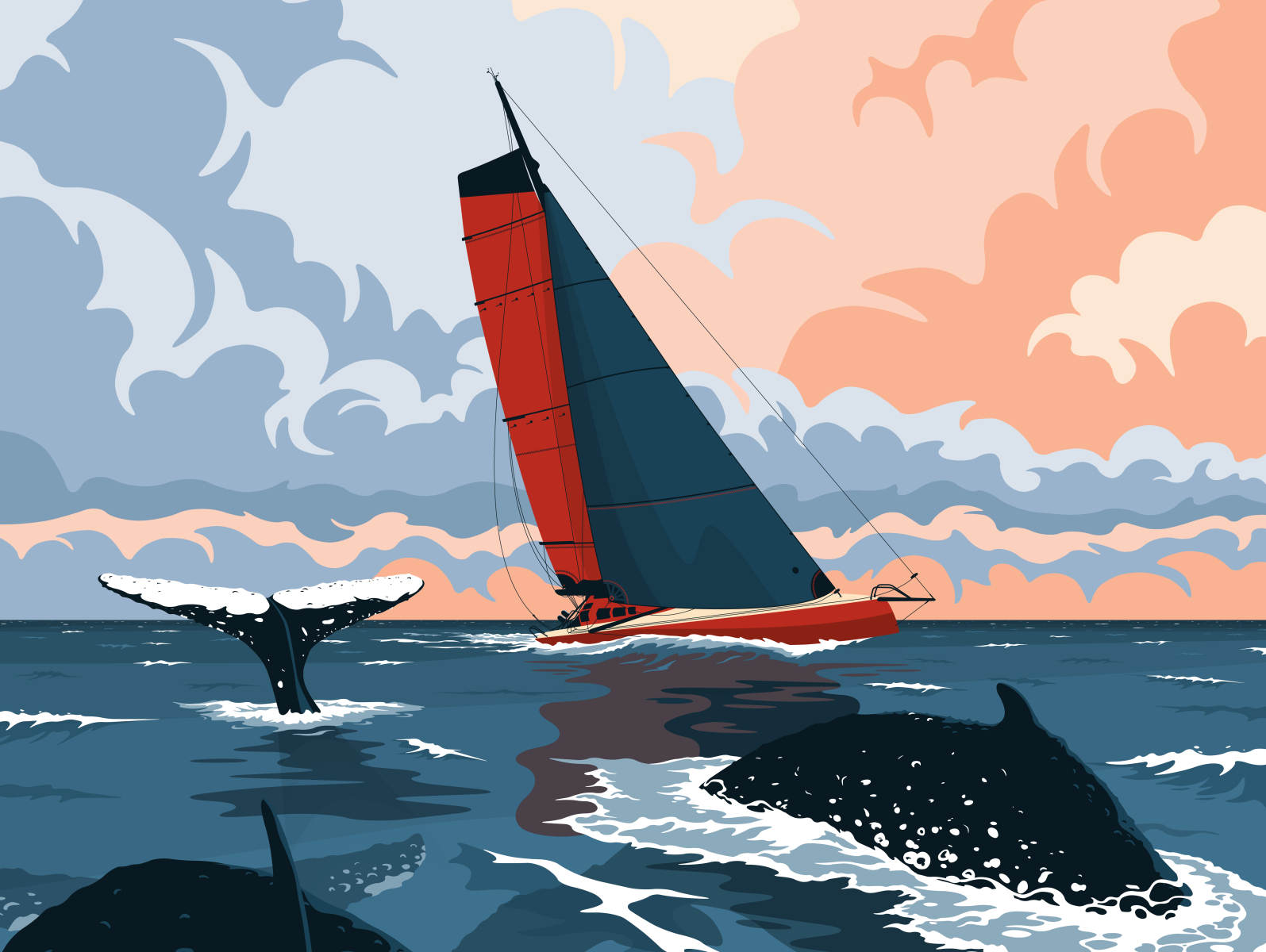 J+22 Cap de Bonne Espérance boat cloud flat illustration imoca sail sailing sea sunset vector whale