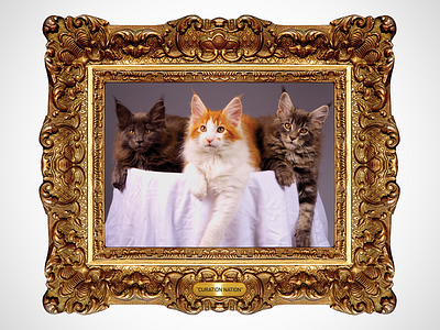 Curation Nation 2 cat cats internet photoshop