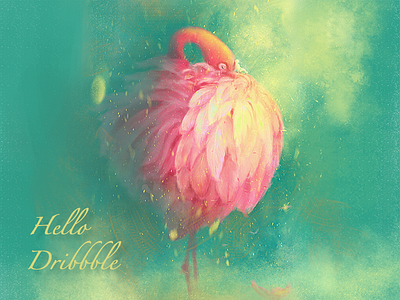 hello dribbble 插图 设计