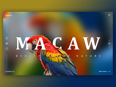 Macaw Bird Banners