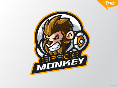 space monkey branding character design esport logo mascot sport