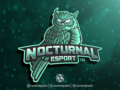 NOCTURNAL Esport Logo | OWL Mascot Logo Sport bird character design esport logo mascot nocturnal owl sport