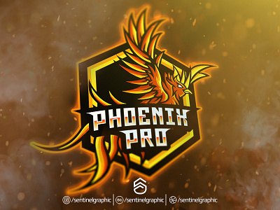 Bird Esport Logo | Phoenix Mascot Logo Sport bird character design esport logo mascot phoenix sport