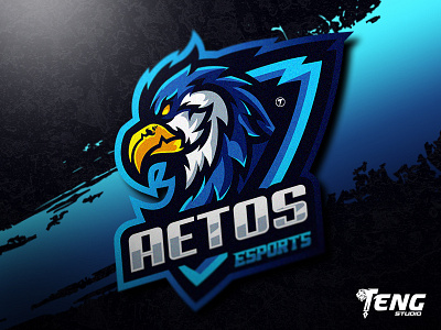 AETOS LOGO MASCOT VECTOR ESPORT/SPORT