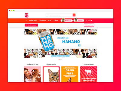 mamamo web page web website