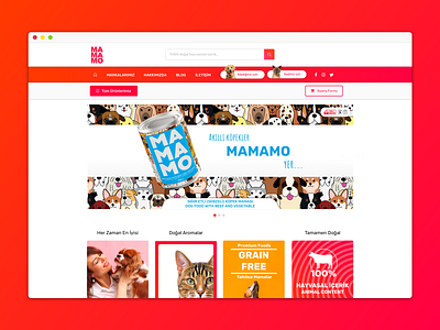 mamamo web page