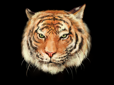 Royal Bengal Tiger concept art digital painting freehand digital painting royal bengal tiger skull tiger
