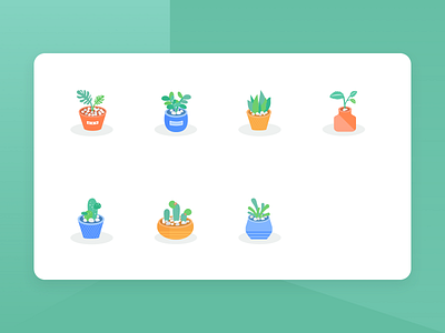 Succulent plants design illustration