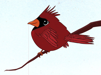 Cardinal bird cardinal illustration xmas card