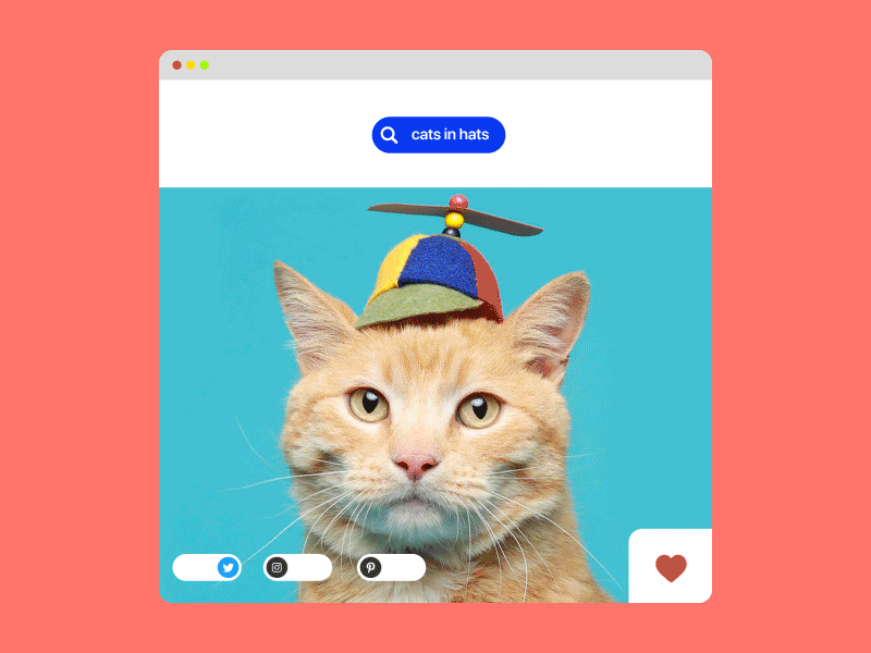 Social Share 🔗🐈 – Daily UI 010/100 after effects animation button cat cats clean daily ui daily ui 010 design gif interaction interface layout minimal slider smooth social buttons social share ui ui design