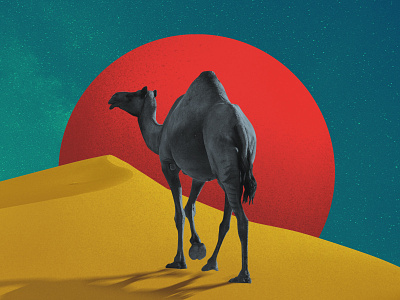 camel on desert collage graphic design inspiration print space