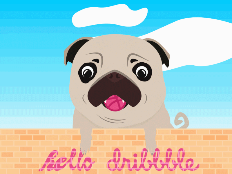 Hi Dribbblers ! doggo first shot graphic hello illustration pug vector