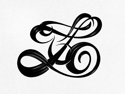 Z Flourish 2.0 Inked calligraphy hand lettering illustration ipad pro ipad pro art lettering procreate texture type design typography