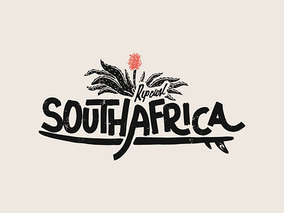 South Africa Aloe Board calligraphy design hand lettering illustration ipad pro lettering procreate texture type design typography