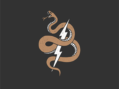 Snake Bolt adobe adobe fresco adobe illustrator bolt design illustration ipad pro snake texture