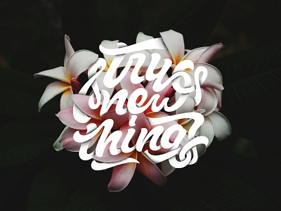 Try New Things calligraphy design flower hand lettering illustration ipad pro ipad pro art lettering procreate shadows texture type design typography unsplash