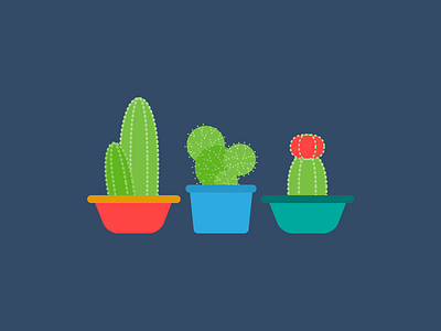 Cacti Illustration cacti cactus flat illustration illustrator