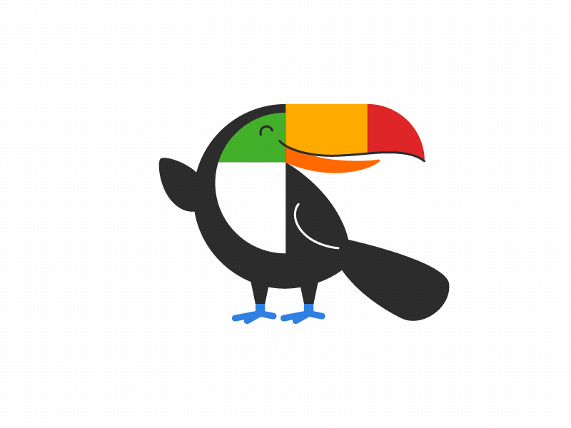 Toucan Animation after effect animal animation bird mascot toucan wave