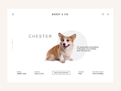 DailyUI #006 - User Profile 006 adoption corgi dailyui design dog lifestyle pet ui webdesign website
