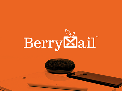 BerryMail brand identity design identity logo mailing tech