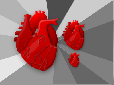 WIP Anatomical Heart Icon heart vector wip